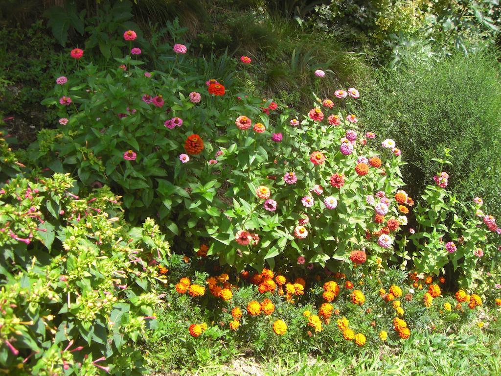 Bed and Breakfast Al Mulino Fregona Exterior foto